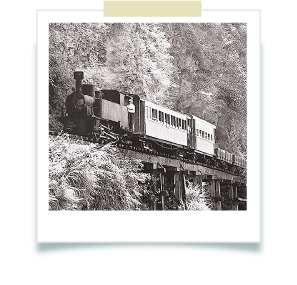 松中国際のロゴモチーフである巨木を運ぶ列車は創業者が台湾宜蘭県太平山の麓に暮らしていた幼少時代の記憶です。